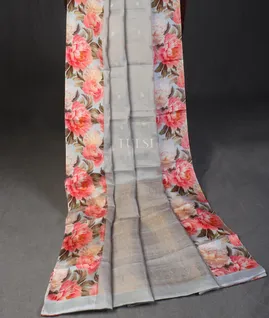 grey-tissue-tussar-with-satin-border-t585909-t585909-d