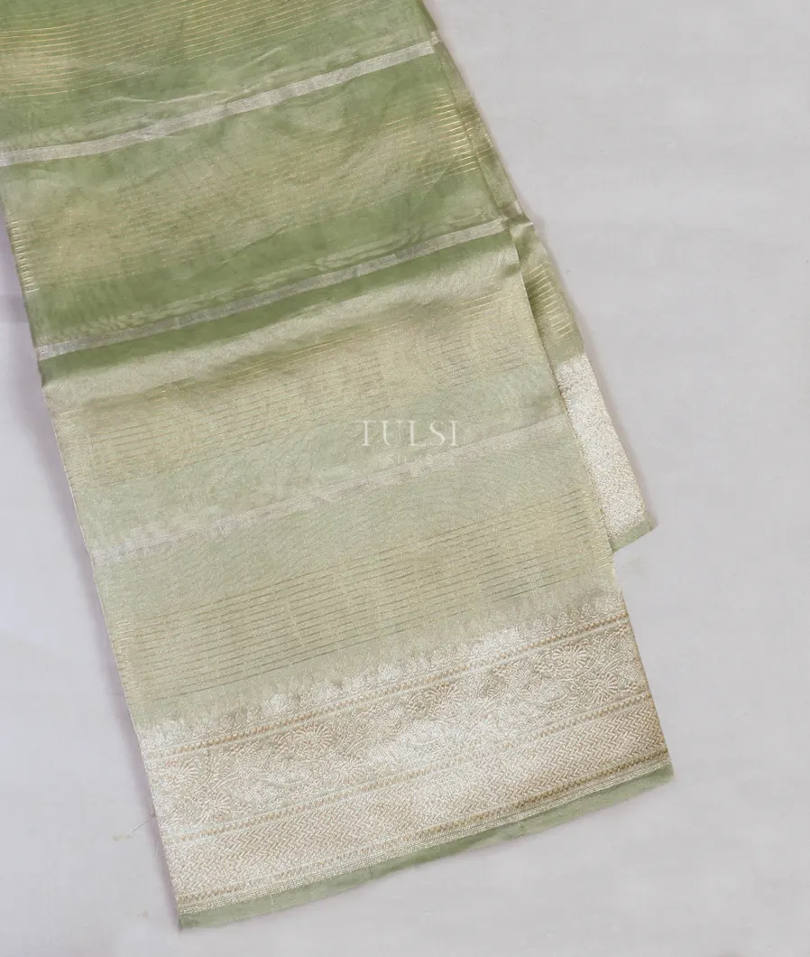 Light Greyish Green Banaras Tissue Organza Saree T576585-image