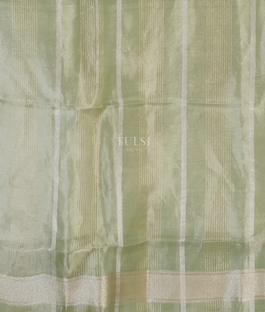 green-banaras-tissue-organza-saree-t576585-t576585-c