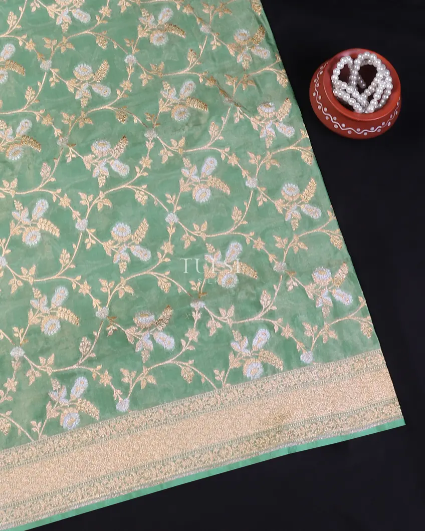 Green Banaras Tissue Silk Saree T596560-image