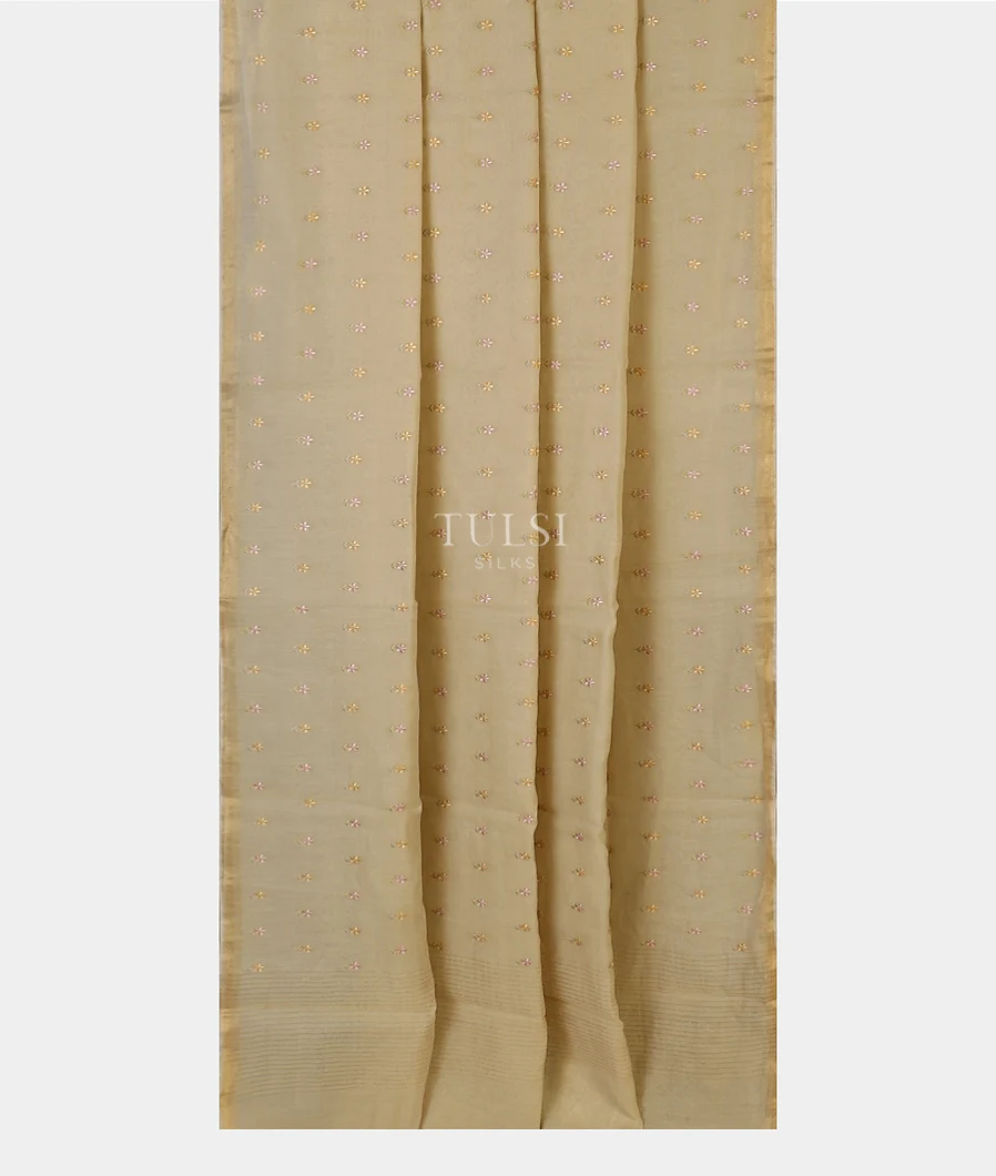 beige-chanderi-cotton-embroidery-saree-t592311-t592311-b
