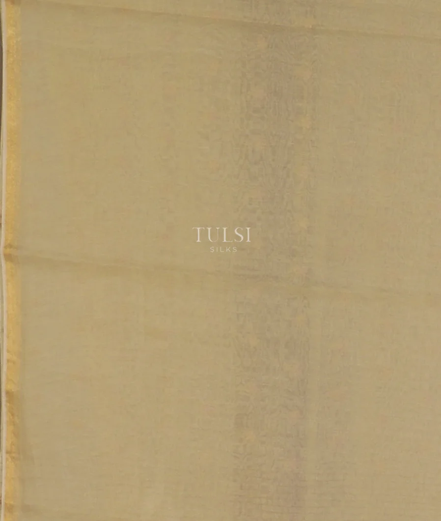 beige-chanderi-cotton-embroidery-saree-t592311-t592311-c