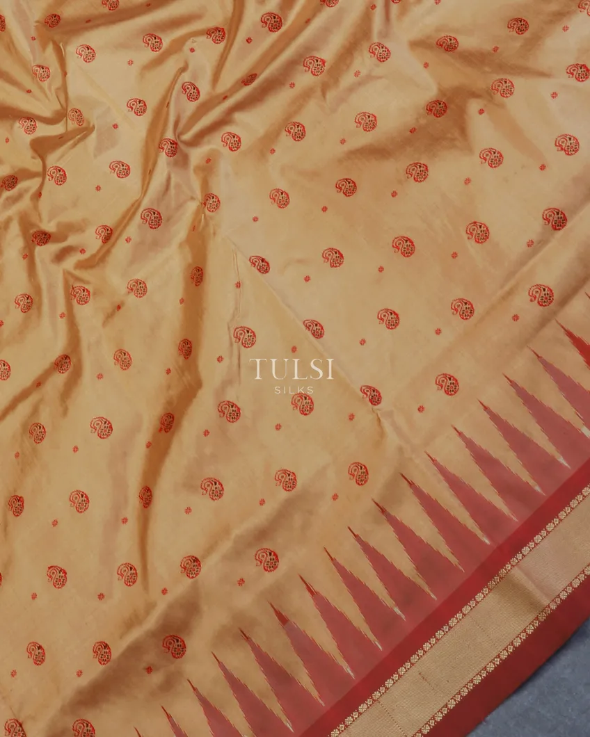 beige-ikat-silk-saree-t594420-t594420-e