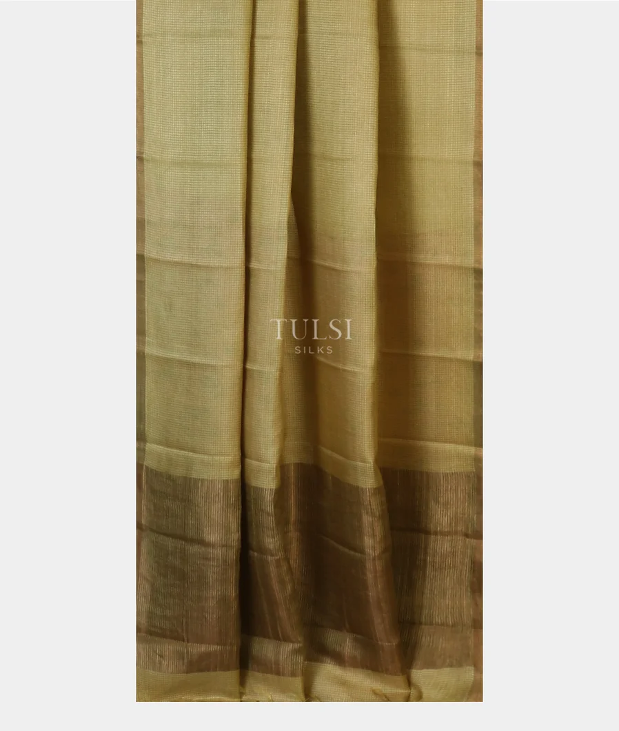 light-greenish-yellow-woven-tussar-saree-t596928-t596928-b