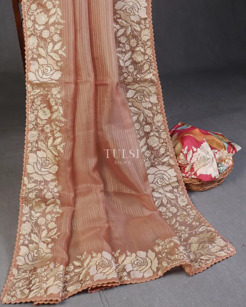 brown-kora-organza-embroidery-saree-t596612-t596612-b