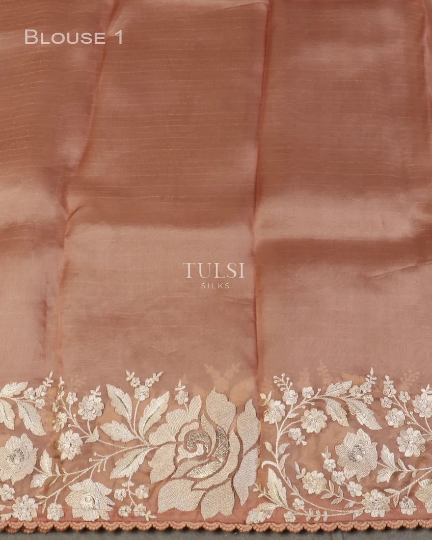 dusty-peach-kora-organza-embroidery-saree-t596612-t596612-c