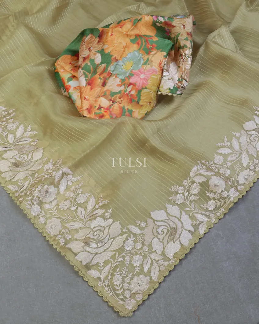 green-kora-organza-embroidery-saree-t596614-t596614-e