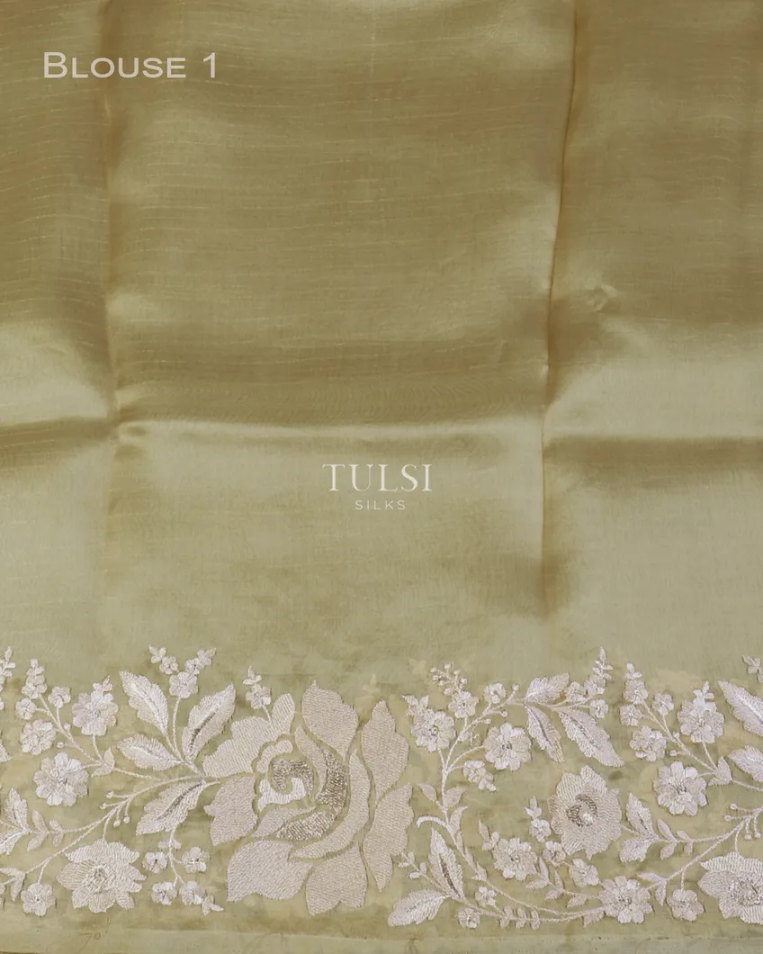 green-kora-organza-embroidery-saree-t596614-t596614-c