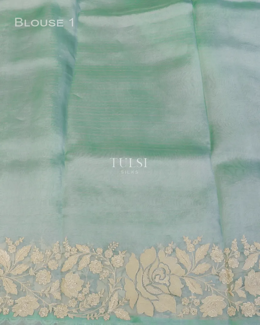 blue-kora-organza-embroidery-saree-t596613-t596613-c