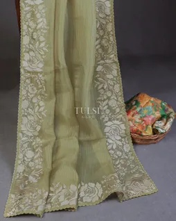 green-kora-organza-embroidery-saree-t596614-t596614-b