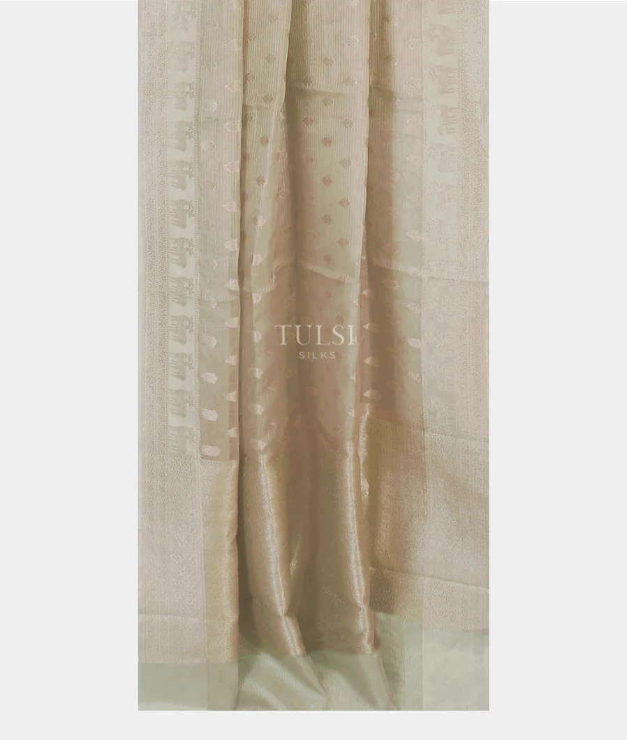 grey-banaras-tissue-organza-saree-t590351-t590351-b