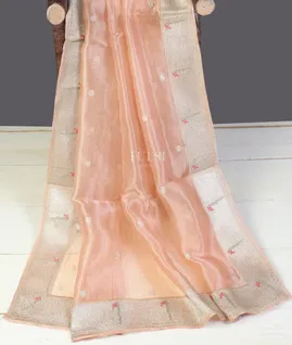 peach-kora-organza-embroidery-saree-t595188-t595188-e