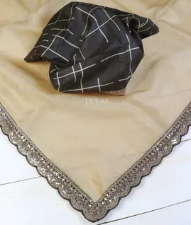 beige-kora-organza-embroidery-saree-t596661-t596661-b