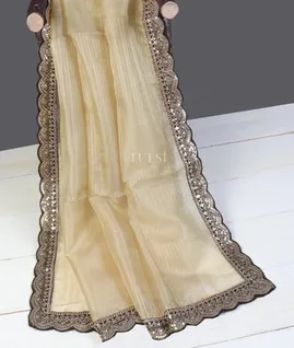 beige-kora-organza-embroidery-saree-t596661-t596661-e
