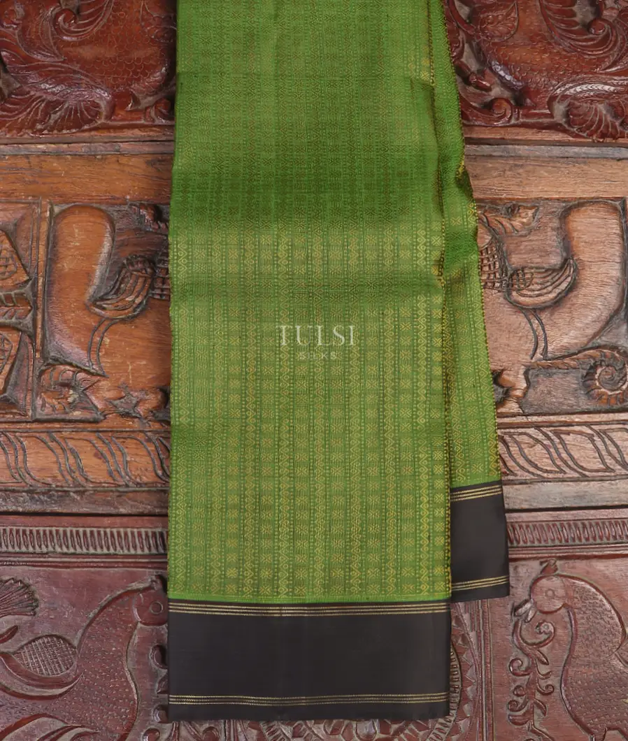 Green Kanjivaram Silk Saree T590243-image