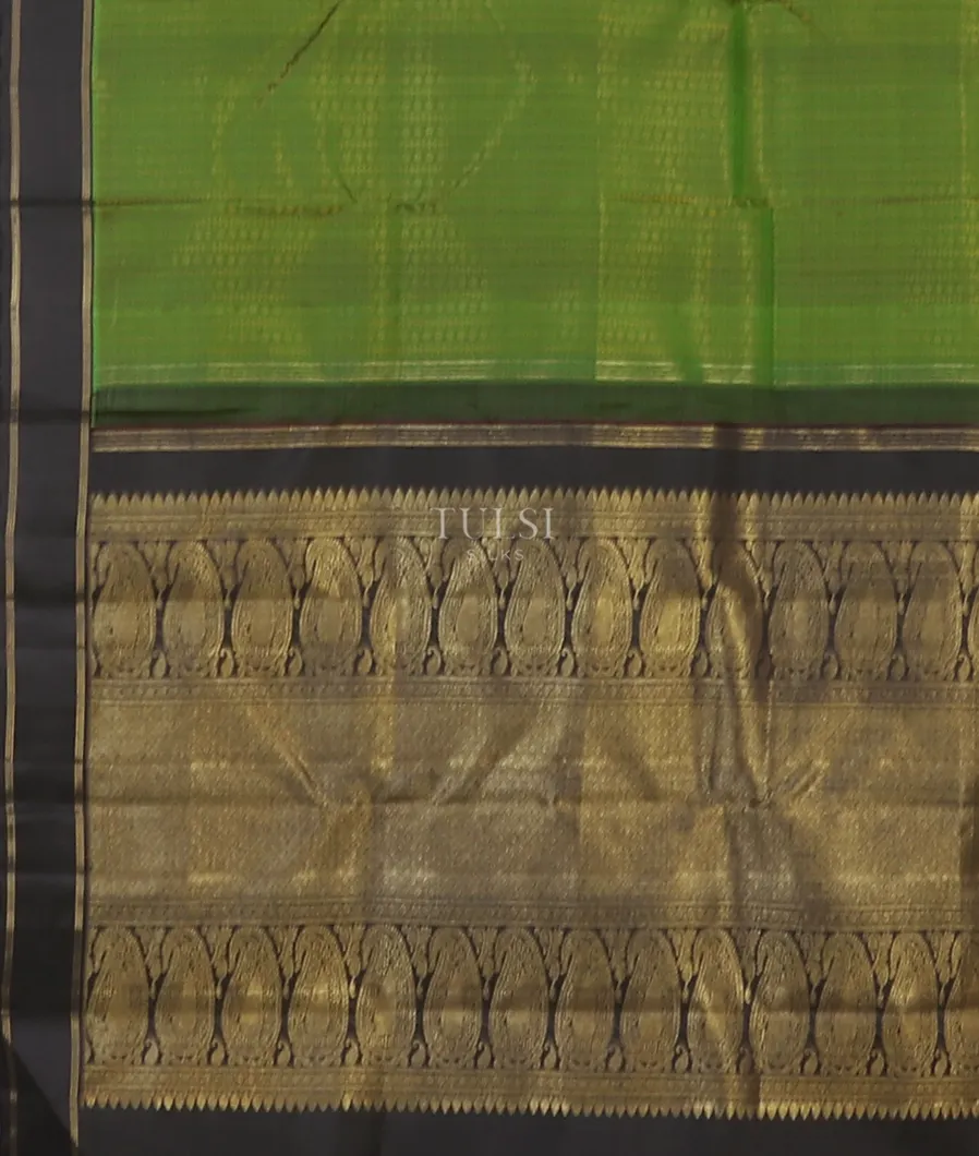 green-kanjivaram-silk-saree-t590243-t590243-d