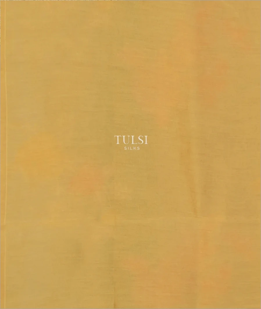 beige-kora-organza-embroidery-saree-t598232-t598232-c