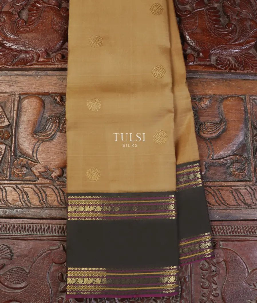 Beige Kanjivaram Silk Saree T567000-image