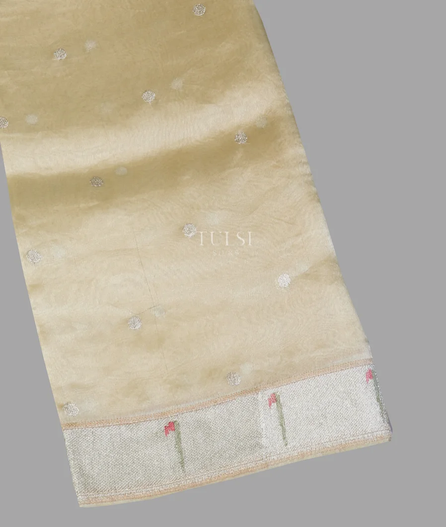 Beige Kora Tissue Organza Embroidery Saree T553878-image