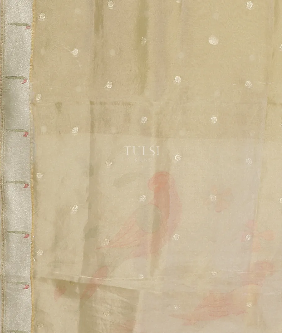 beige-kora-tissue-organza-embroidery-saree-t553878-t553878-c