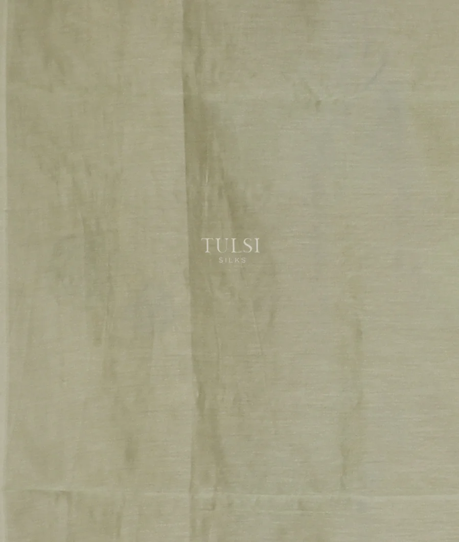 beige-kora-organza-embroidery-saree-t598230-t598230-d