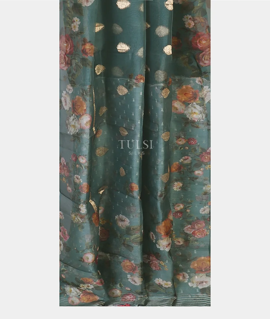 blue-kora-organza-printed-saree-t574206-t574206-b