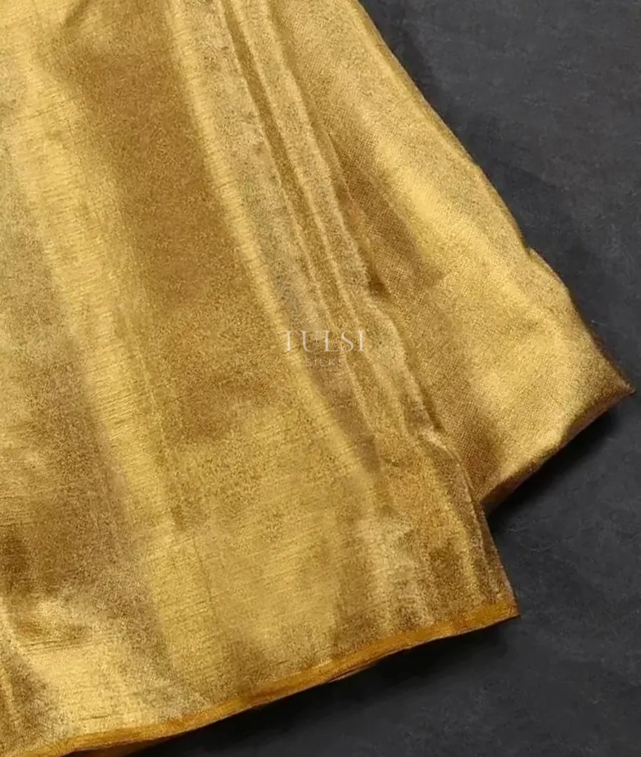 gold-kanjivaram-silk-tissue-blouse-t568017-t568017-b