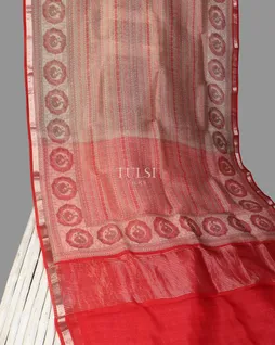 beige-kora-organza-printed-saree-t598831-t598831-d