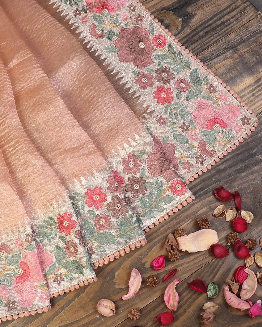 peach-kora-tissue-organza-embroidery-saree-t595191-t595191-b
