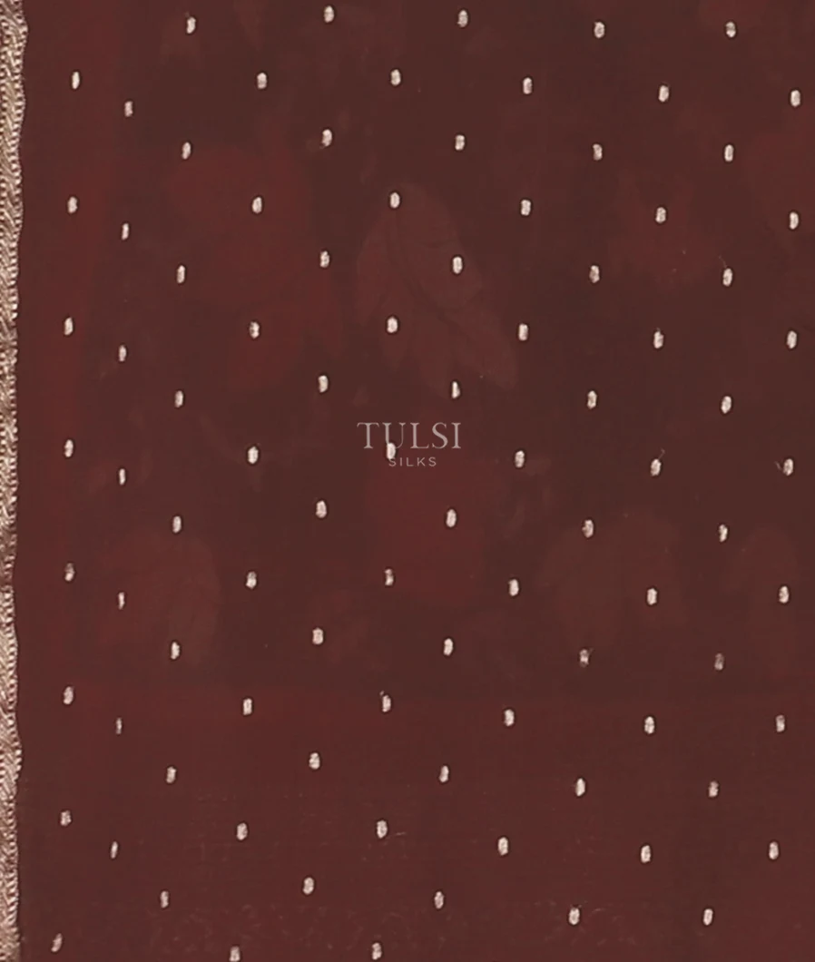 deep-brown-crepe-kalamkari-handpainted-saree-t560062-t560062-c