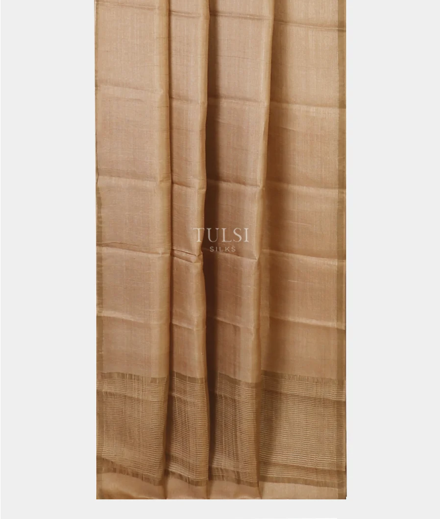 beige-woven-tussar-saree-t596934-t596934-b