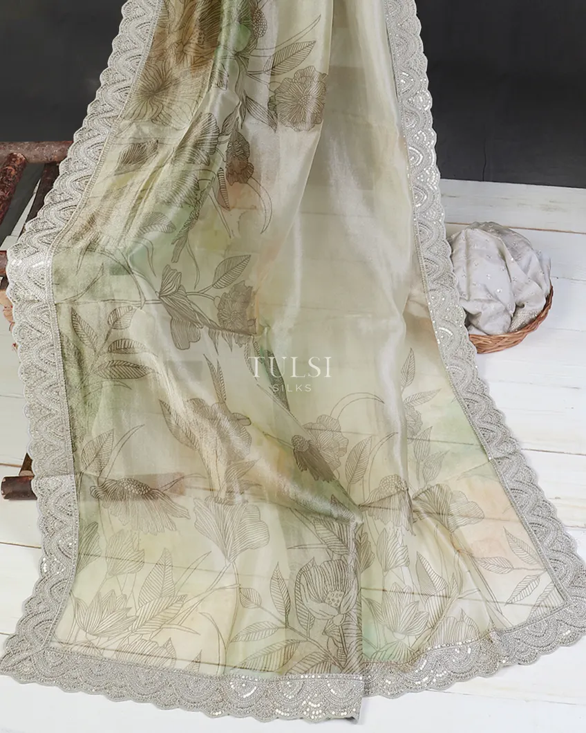 green-kora-tissue-organza-embroidery-saree-t595202-t595202-d