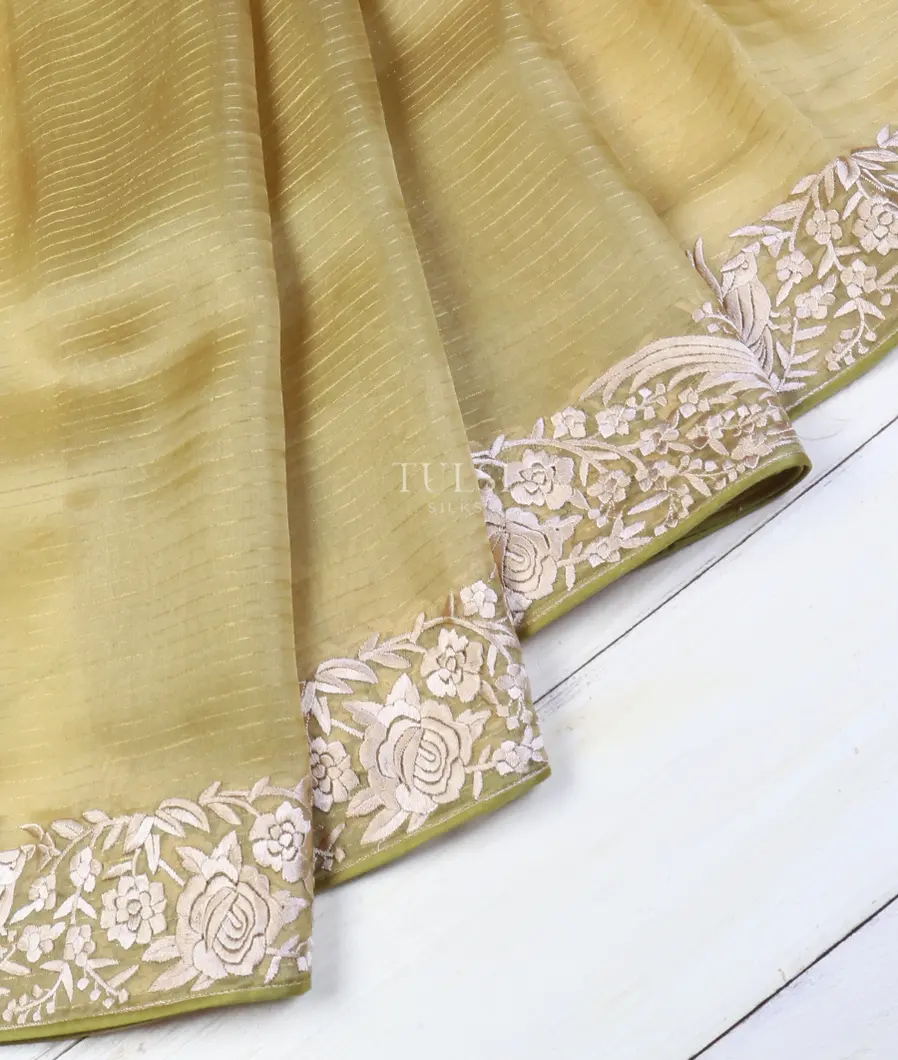 light-green-kora-organza-embroidery-saree-t598977-t598977-b