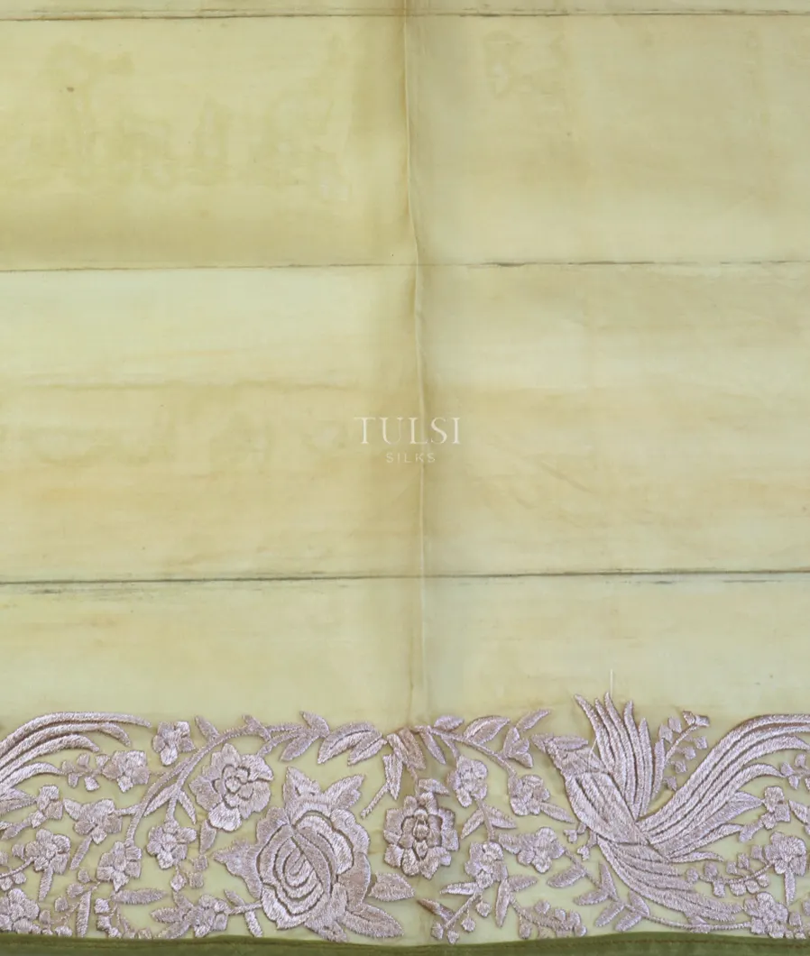 light-green-kora-organza-embroidery-saree-t598977-t598977-c