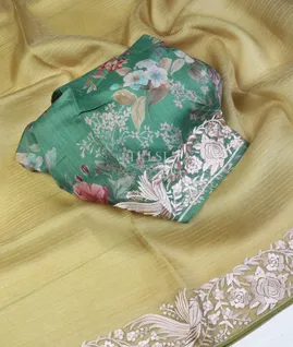 light-green-kora-organza-embroidery-saree-t598977-t598977-d