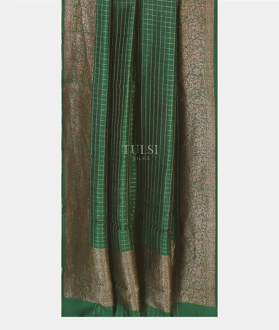 green-banaras-tussar-saree-t586908-t586908-b