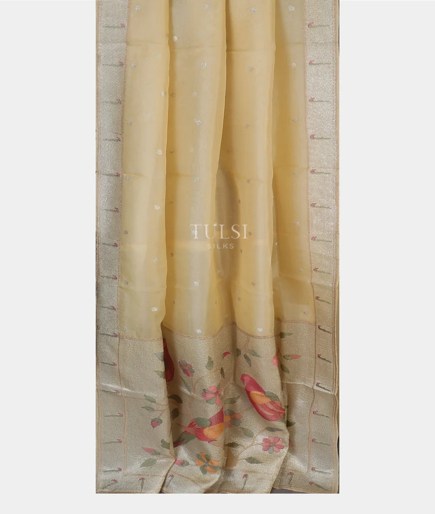 cream-kora-organza-embroidery-saree-t601005-t601005-b