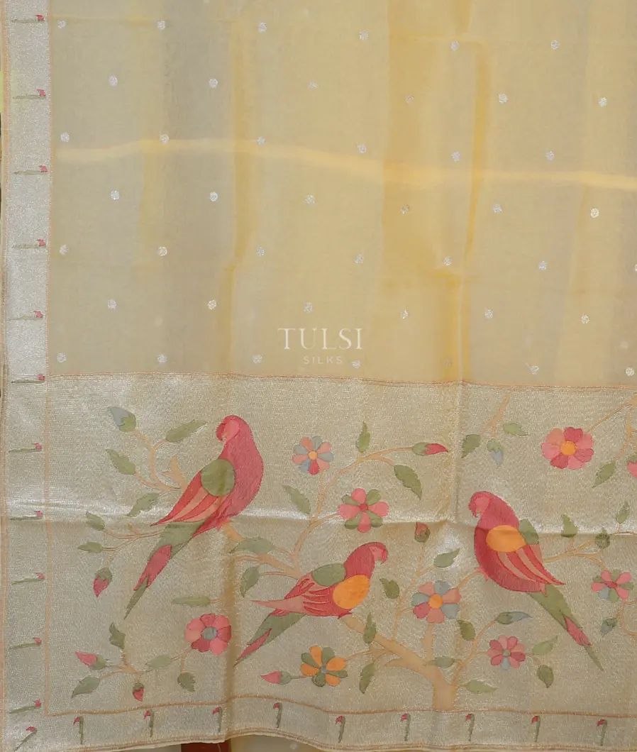 cream-kora-organza-embroidery-saree-t601005-t601005-d