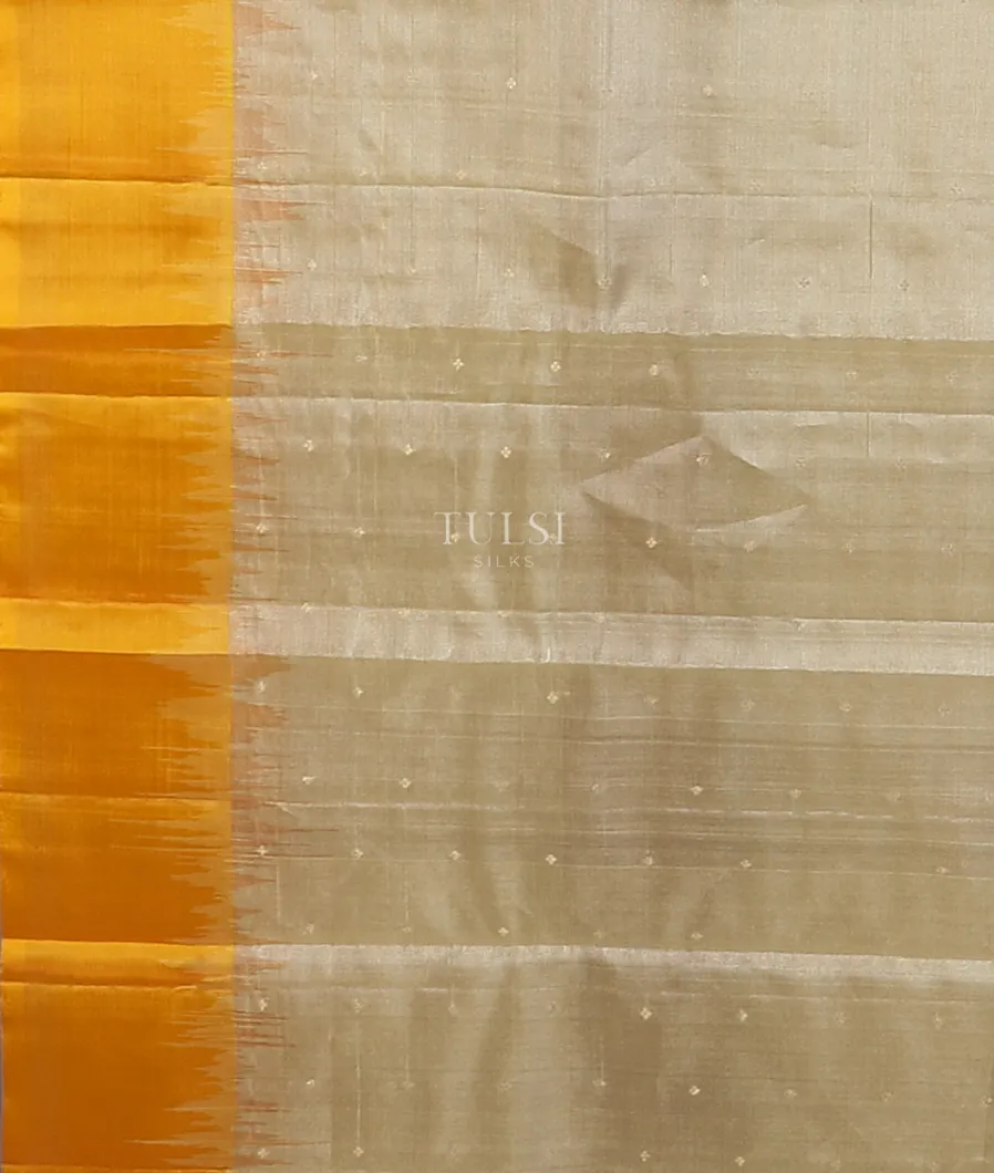 beige-tissue-soft-silk-saree-t596194-t596194-c
