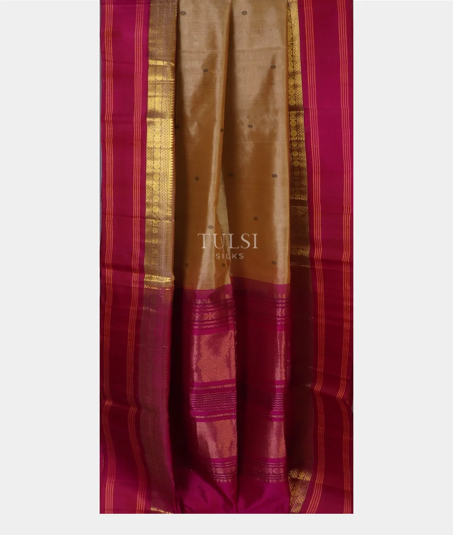 beige-silk-cotton-saree-t586569-1-t586569-1-b