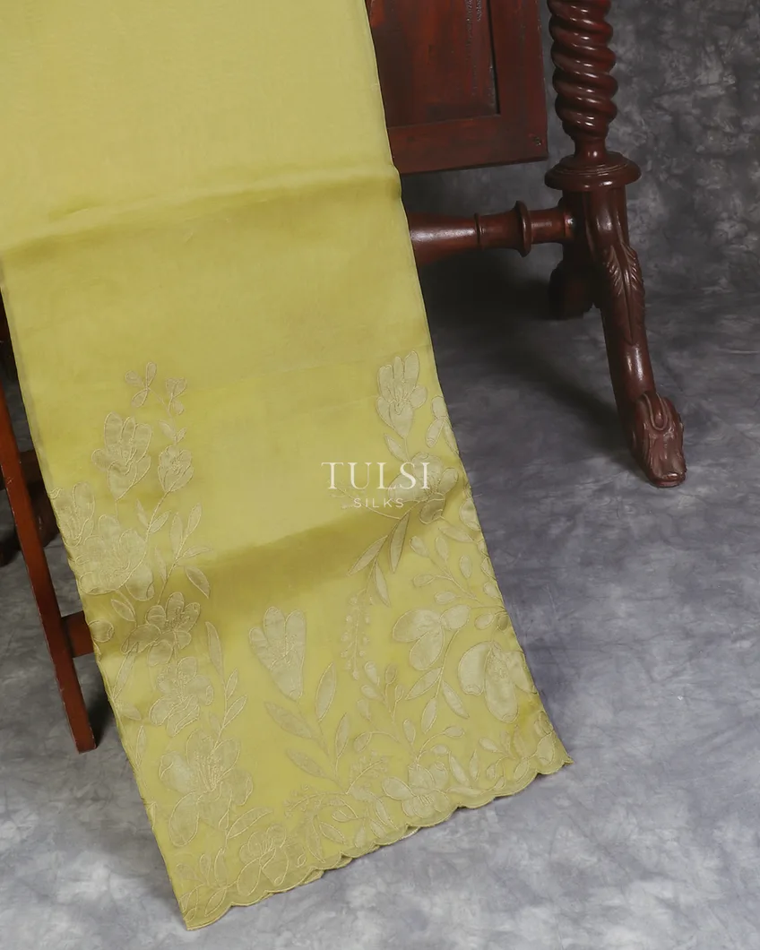 Green Kora Organza Embroidery Saree T600570-image