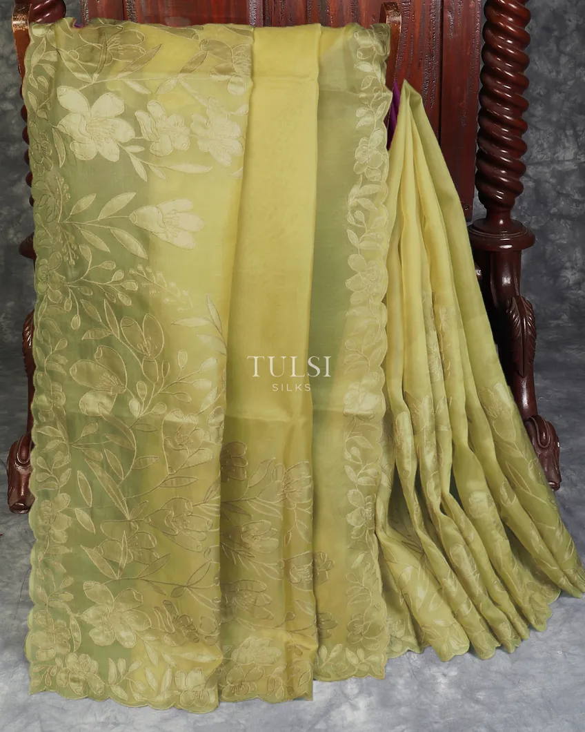 green-kora-organza-embroidery-saree-t600570-t600570-b