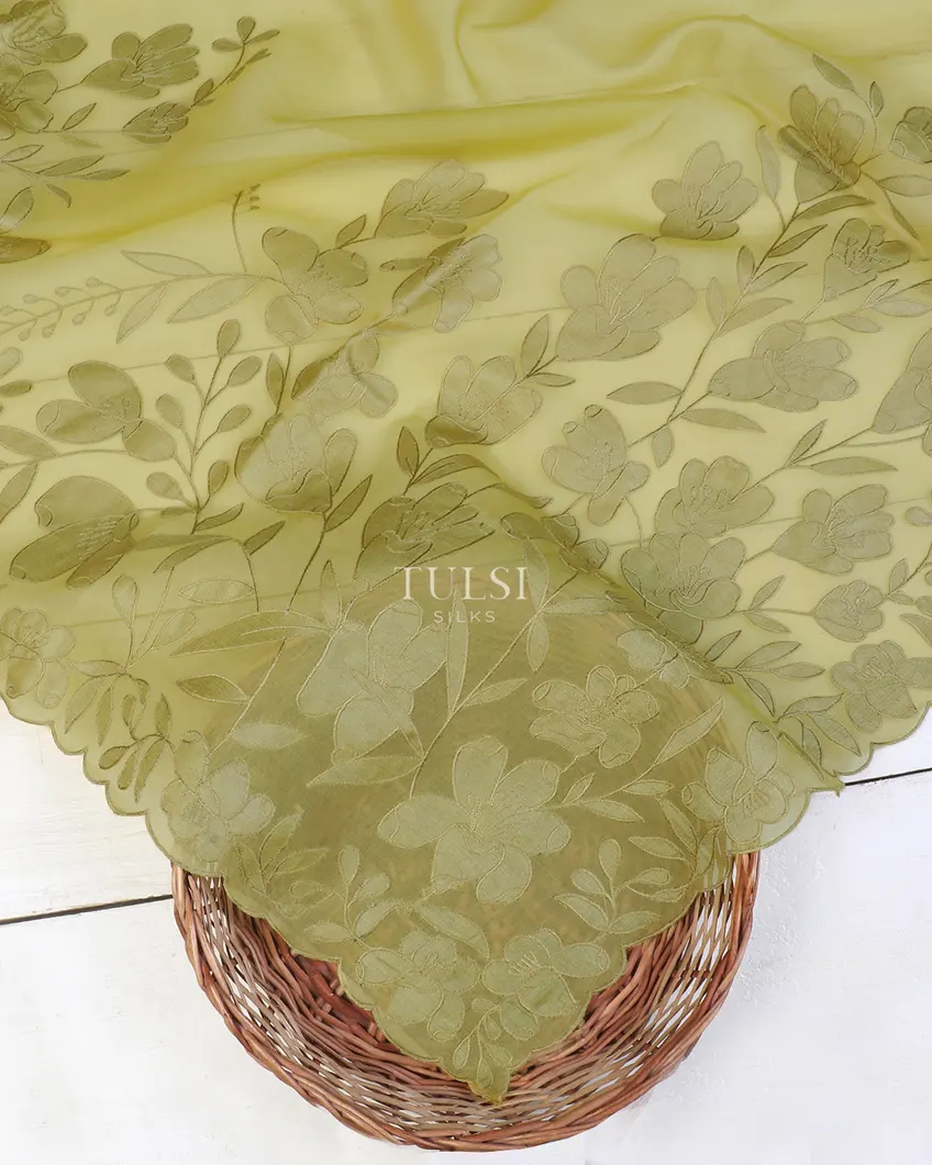 green-kora-organza-embroidery-saree-t600570-t600570-d