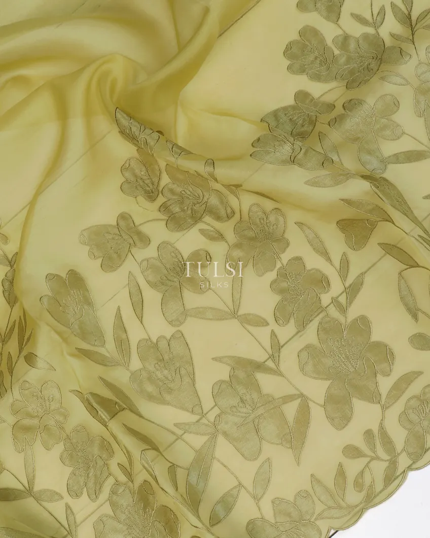 green-kora-organza-embroidery-saree-t600570-t600570-e