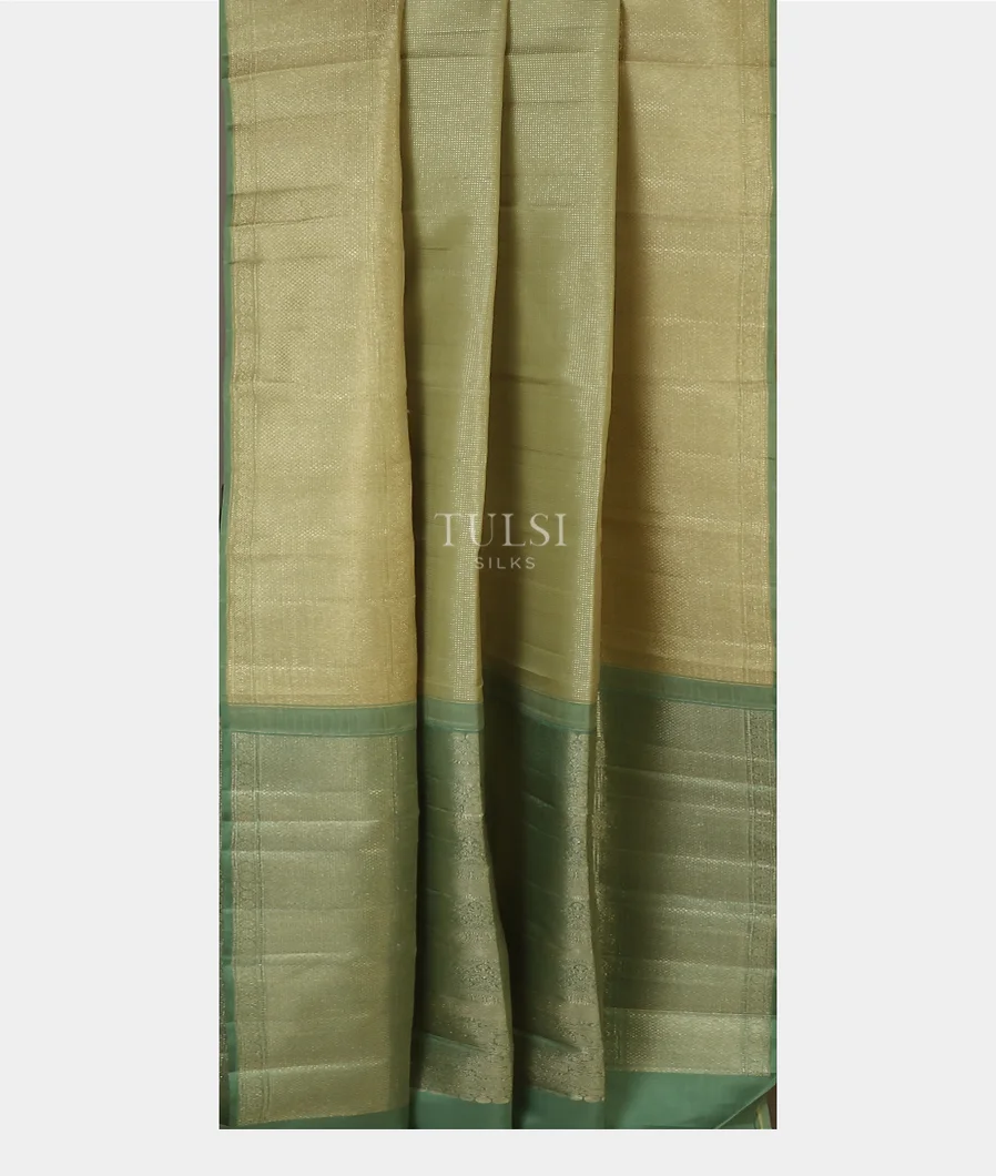 light-green-kanjivaram-silk-saree-t601537-t601537-b