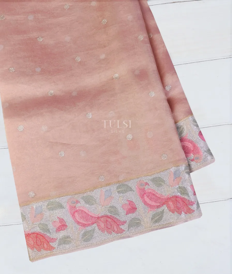 Peach Kora Tissue Organza Embroidery Saree T572106-image