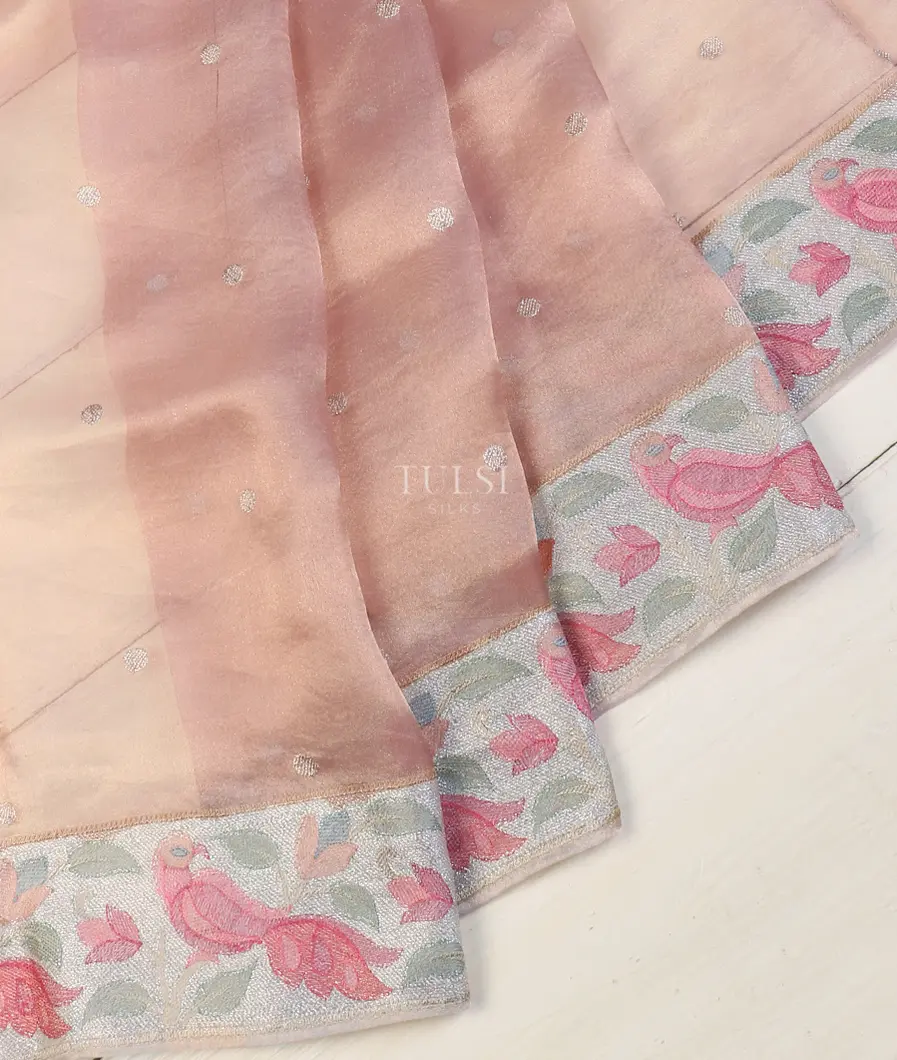 peach-kora-tissue-organza-embroidery-saree-t572106-t572106-b