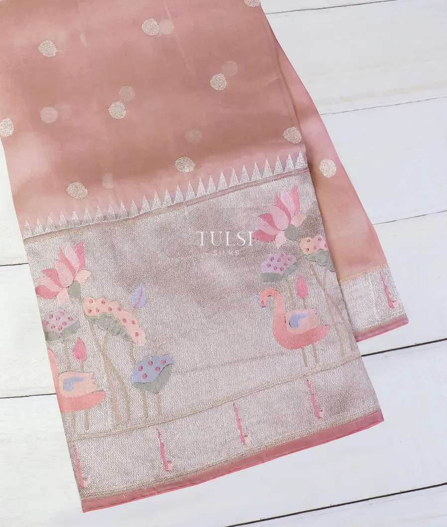 Dusty Pink Kora Organza Embroidery Saree T594002-image