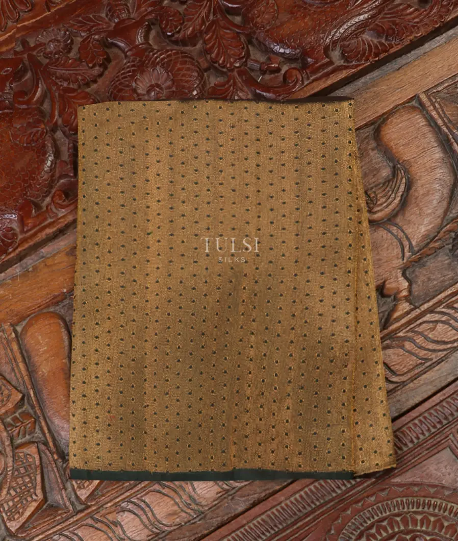 Black Kanjivaram Silk Blouse T551975-image