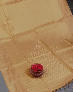 golden-beige-tissue-soft-silk-saree-t587351-t587351-b